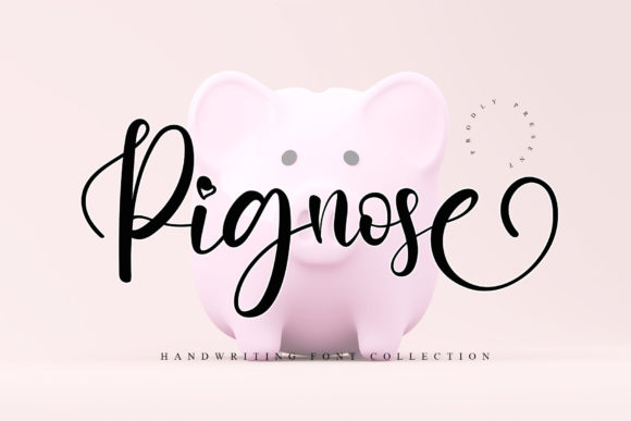Pignose: A Sweet Script Font for Business Branding