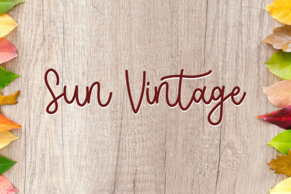 Sun Vintage Font Review