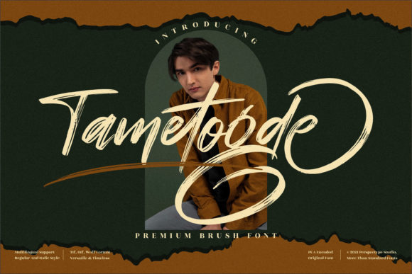 Tametogde: A Bold Script Font for Campaigns